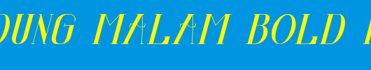 Senandung-Malam-Bold-Italic.ttf是一款不错的英文字体下载