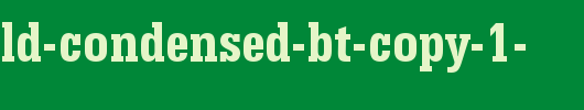 Serifa-Bold-Condensed-BT-copy-1-.ttf是一款不错的英文字体下载