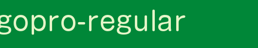 日本外字集字体系列ShinMGoPro-Regular.otf