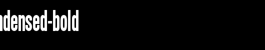 SimpleTypeCondensed-Bold.ttf是一款不错的英文字体下载