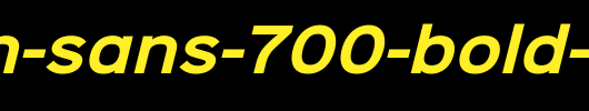 Sinkin-Sans-700-Bold-Italic.ttf是一款不错的英文字体下载
