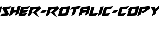 Skirmisher-Rotalic-copy-1-.ttf是一款不错的英文字体下载