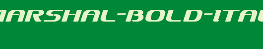 Sky-Marshal-Bold-Italic.ttf是一款不错的英文字体下载