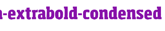 Sohoma-ExtraBold-Condensed.ttf是一款不错的英文字体下载