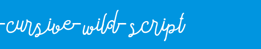 Sortdecai-Cursive-Wild-Script.ttf是一款不错的英文字体下载
