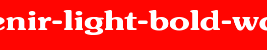 Souvenir-Light-Bold-Wd.ttf是一款不错的英文字体下载
