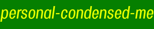 Specify-PERSONAL-Condensed-Medium-Italic.ttf是一款不错的英文字体下载