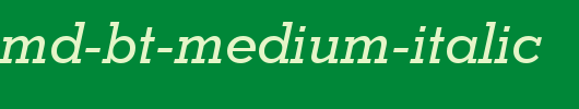 Stymie-Md-BT-Medium-Italic.ttf是一款不错的英文字体下载