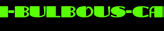 Tara-Bulbous-Capital.ttf类型，T字母英文