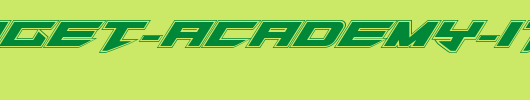 Tarrget-Academy-Italic.ttf类型，T字母英文