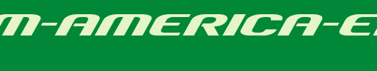 Team-America-Expanded-copy-1-.ttf类型，T字母英文