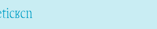TechPhonetic-Cn.ttf类型，T字母英文