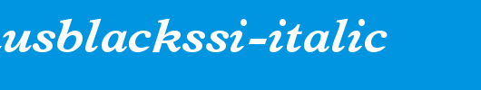 TerminusBlackSSi-Italic.ttf类型，T字母英文