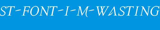 The-Last-Font-I-m-Wasting-On-You-Italic.ttf类型，T字母英文