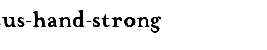 The-Missus-Hand-Strong.ttf类型，T字母英文