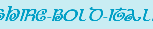 The-Shire-Bold-Italic.ttf类型，T字母英文