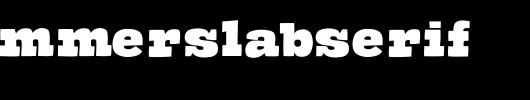 TheHammerSlabserif.ttf类型，T字母英文