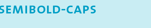 TheMixSemiBold-Caps.ttf类型，T字母英文