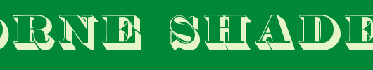 Thorne-Shaded.ttf类型，T字母英文