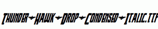 Thunder-Hawk-Drop-Condensed-Italic.ttf类型，T字母英文