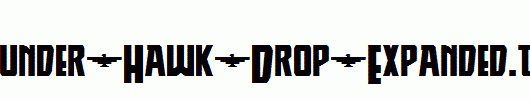 Thunder-Hawk-Drop-Expanded.ttf类型，T字母英文
