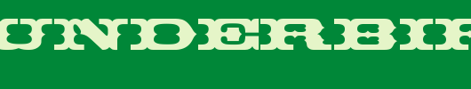 Thunderbird-ICG.ttf类型，T字母英文