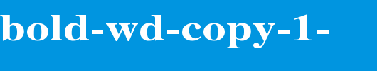 Times-Bold-Wd-copy-1-.ttf类型，T字母英文