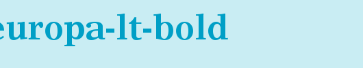 Times-Europa-LT-Bold.ttf类型，T字母英文
