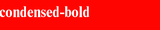Times-NR-Condensed-Bold.ttf类型，T字母英文