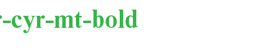 Times-NR-Cyr-MT-Bold.ttf类型，T字母英文