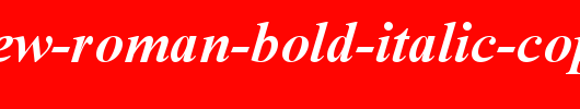 Times-New-Roman-Bold-Italic-copy-2-.ttf类型，T字母英文