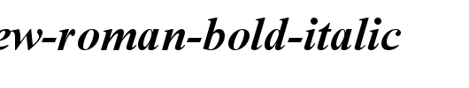 Times-New-Roman-Bold-Italic.ttf类型，T字母英文