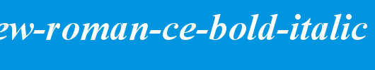 Times-New-Roman-CE-Bold-Italic.ttf类型，T字母英文