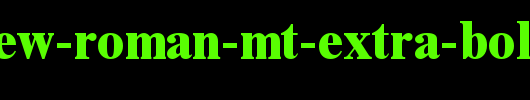 Times-New-Roman-MT-Extra-Bold.ttf类型，T字母英文