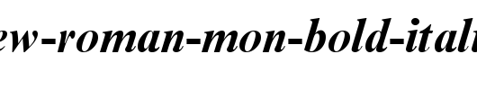Times-New-Roman-Mon-Bold-Italic.ttf类型，T字母英文
