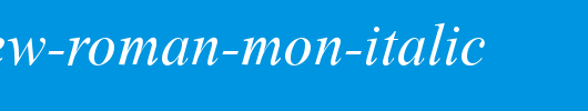Times-New-Roman-Mon-Italic.ttf类型，T字母英文