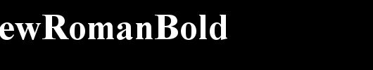 TimesNewRomanBold_英文字体