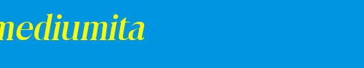 Toledo-MediumIta.ttf类型，T字母英文