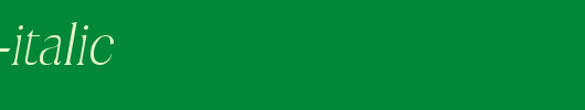 ToledoLH-Italic.ttf类型，T字母英文