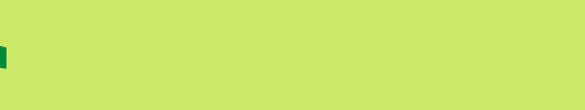 Toon-Time-Narrow.ttf类型，T字母英文