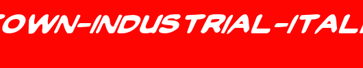 Toon-Town-Industrial-Italic.ttf类型，T字母英文