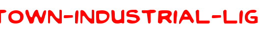 Toon-Town-Industrial-Light.ttf类型，T字母英文