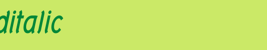 Tork-BoldItalic.ttf类型，T字母英文