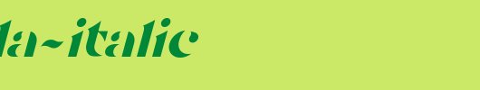 Tostada-Italic.ttf类型，T字母英文
