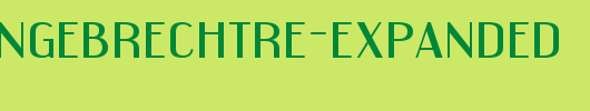 TrSah-Engebrechtre-Expanded.ttf类型，T字母英文