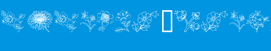 Traditional-Floral-Design-III.ttf类型，T字母英文