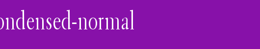 Transit-2-Condensed-Normal.ttf类型，T字母英文