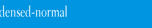 Transit-Condensed-Normal.ttf类型，T字母英文