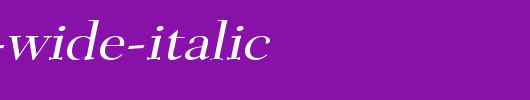 Transit-Wide-Italic.ttf类型，T字母英文