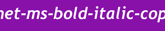 Trebuchet-MS-Bold-Italic-copy-2-.ttf类型，T字母英文